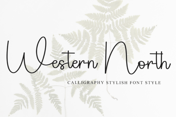 Western North: A Script Font for Modern Branding